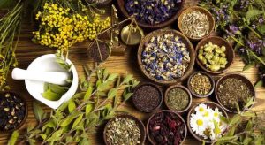 BẢO TỒN VÀ PHÁT TRIỂN Y HỌC CỔ TRUYỀN VIỆT NAM TRONG BỐI CẢNH HIỆN ĐẠI: TỪ DI SẢN VĂN HÓA ĐẾN SỨ MỆNH CHĂM SÓC SỨC KHỎE CỘNG ĐỒNG